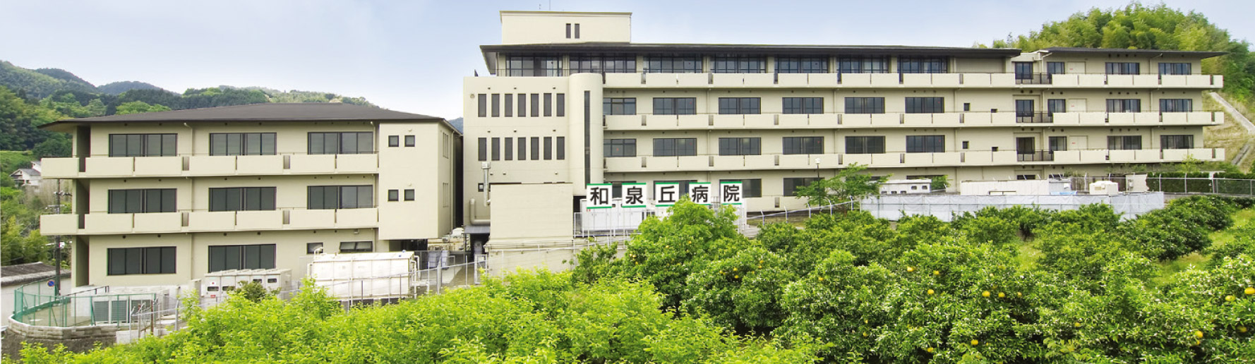 自然に囲まれた  美しい  専門医療